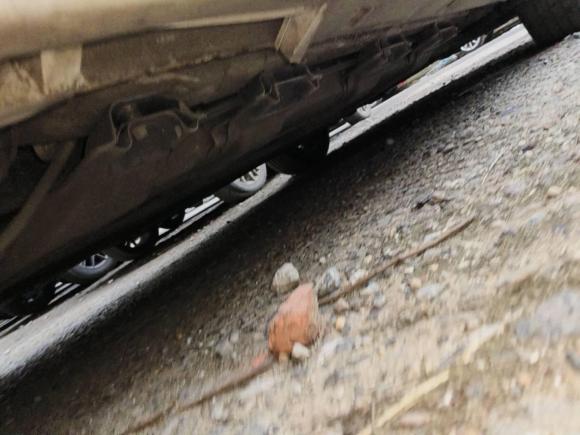 [杭州·浙A] 二手奔腾奔腾B30EV2019款 EV400