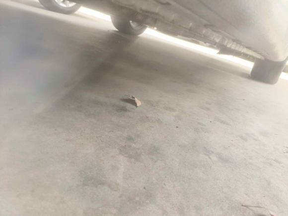 [上海·苏U] 二手荣威荣威i62018款 20T 自动互联网智享版