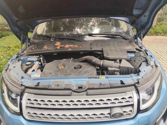 [南京·苏A] 二手路虎揽胜极光2016款 2.0T SE 智耀版