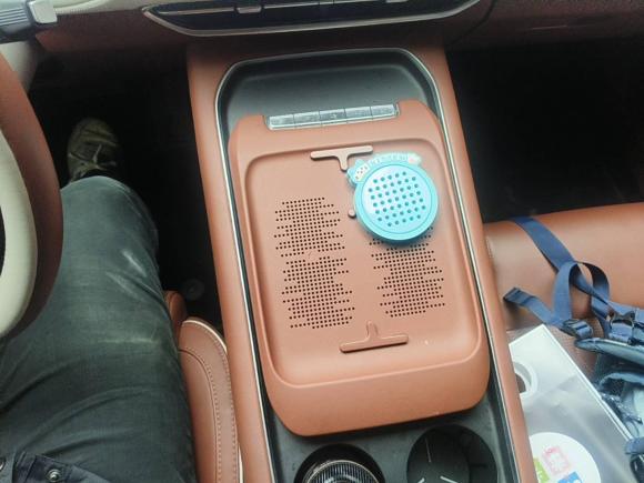 [合肥·皖A] 二手岚图汽车岚图FREE2024款 超长续航智驾版