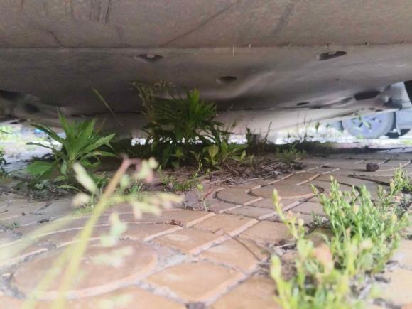 [温州·浙C] 二手特斯拉Model Y2021款 标准续航后驱版