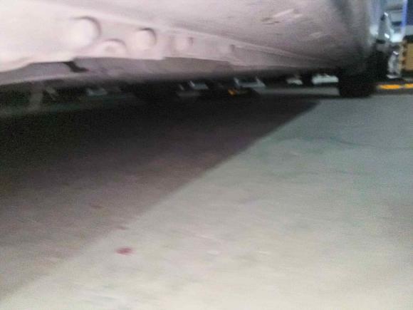 [温州·浙C] 二手马自达马自达3星骋2011款 三厢 1.6L 自动精英型