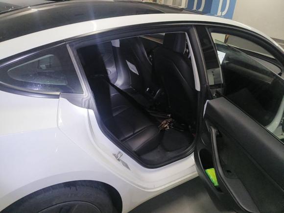 [上海·沪A] 二手特斯拉Model 32021款 标准续航后驱升级版 3D6