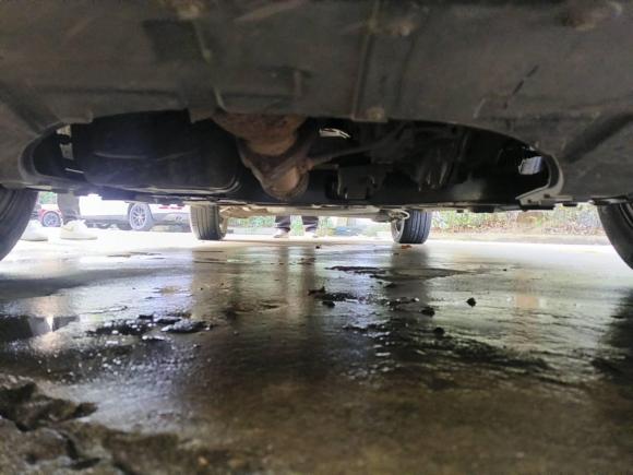 [上海·湘A] 二手长安凌轩2017款 1.6L 手动精英型