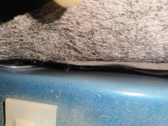 [深圳·闽H] 二手日产蓝鸟2016款 1.6L CVT智酷版