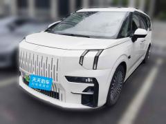 [杭州·浙A] 极氪极氪0092022款 WE版