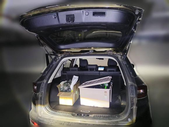 [上海·沪A] 二手长安长安CS552017款 1.5T 手动炫色型