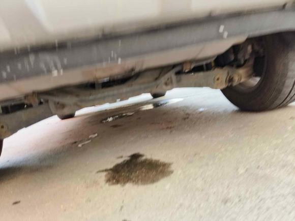 [青岛·鲁B] 二手哈弗哈弗H6 Coupe2016款 蓝标 1.5T 自动两驱精英型