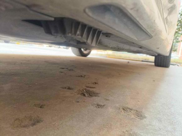 [青岛·鲁B] 二手宝马宝马3系2021款 325Li M运动套装