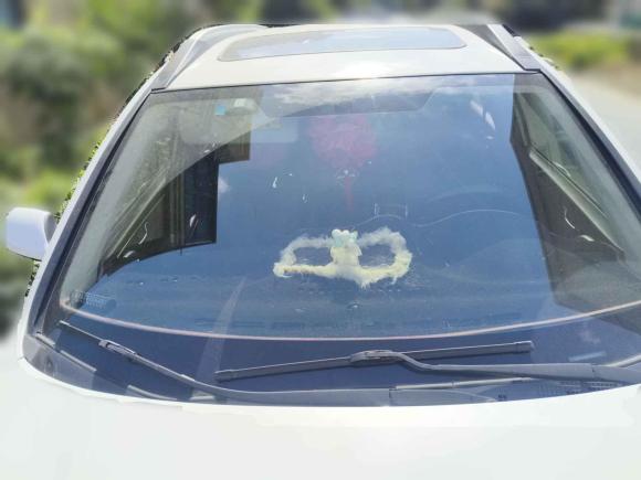 [嘉兴·浙F] 二手哈弗哈弗M62017款 1.5T 手动两驱精英型