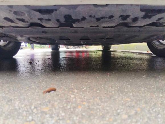 [成都·川E] 二手本田雅阁2022款 260TURBO 豪华版