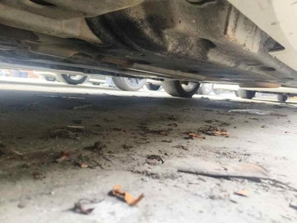 [佛山·粤F] 二手凯迪拉克凯迪拉克XTS2013款 28T 舒适型