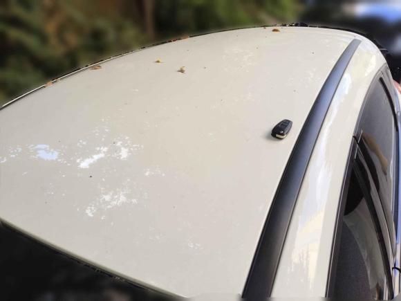 [无锡·苏B] 二手福特福克斯2017款 两厢 1.6L 手动舒适型智行版