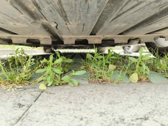 [合肥·皖A] 二手捷豹捷豹XJ2014款 XJL 3.0 SC 两驱尊享商务版