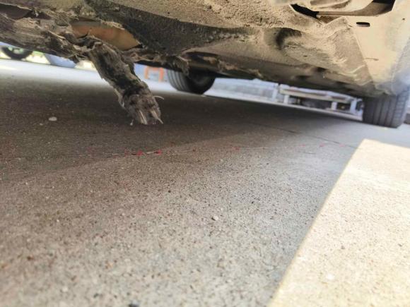 [佛山·粤E] 二手奔驰奔驰E级2013款 E 260 L CGI优雅型