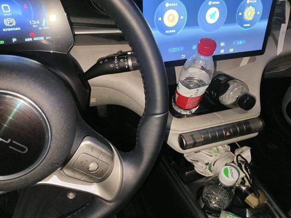 [杭州·浙A] 二手比亚迪海豚2021款 405km 时尚版