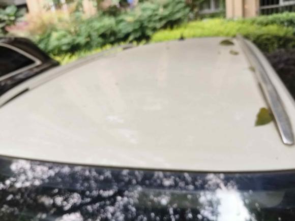 [成都·川A] 二手大众朗行2015款 1.6L 自动风尚版