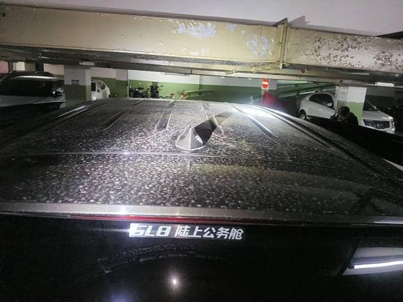 [上海·沪K] 二手别克别克GL82021款 陆上公务舱 652T 豪华型