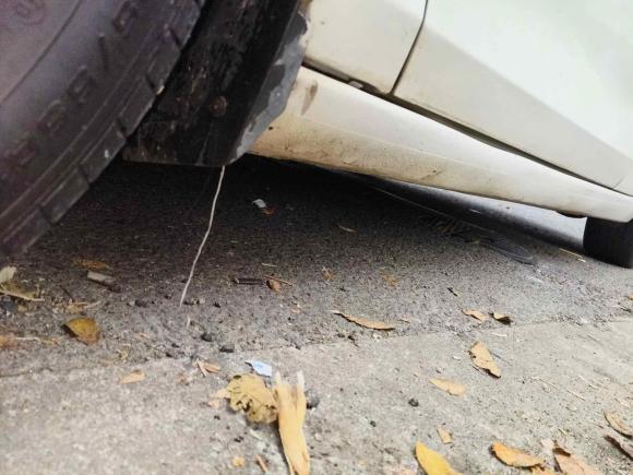 [宁波·浙B] 二手福特福睿斯2015款 1.5L 自动时尚型