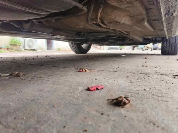 [温州·浙C] 二手大众宝来2015款 质惠版 1.6L 手动舒适型