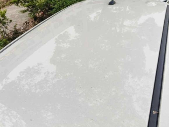 [台州·浙J] 二手欧拉欧拉黑猫2019款 310km 灵趣版