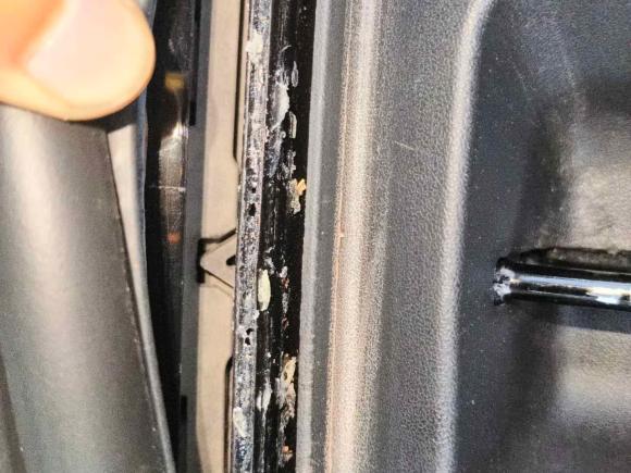 [广州·粤A] 二手特斯拉Model Y2023款 后轮驱动版