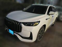 [合肥·皖A]奇瑞&nbsp;&nbsp;瑞虎9&nbsp;&nbsp;2023款 2.0T 双离合两驱尊贵版 7座