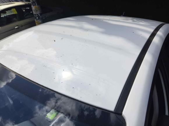 [无锡·苏B] 二手奇瑞艾瑞泽52019款 1.5L 手动青春版 国V