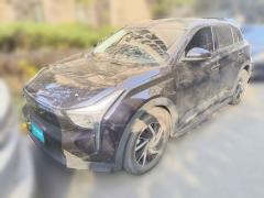 [南通·苏F]哪吒汽车&nbsp;&nbsp;哪吒U&nbsp;&nbsp;2021款 Pro 400 巡航版