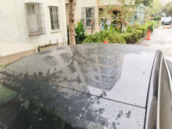 [上海·沪A] 二手特斯拉Model 32020款 改款 标准续航后驱升级版