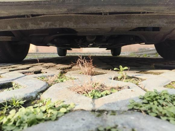 [上海·沪D] 二手大众Polo2013款 1.4L 手动风尚版