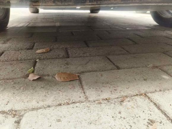 [武汉·鄂A] 二手标致标致3082014款 乐享版 经典 1.6L 自动优尚型