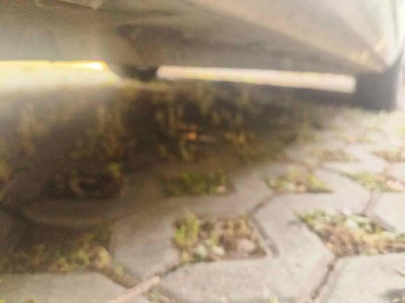 [嘉兴·浙F] 二手荣威科莱威CLEVER2021款 302km新四座超能版