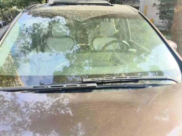 [上海·沪L] 二手别克别克GL82021款 ES陆尊 653T 舒适型