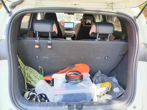 [青岛·鲁B] 二手比亚迪海鸥2023款 活力版