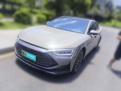 [深圳·粤B] 比亚迪汉2020款 DM 四驱性能版豪华型