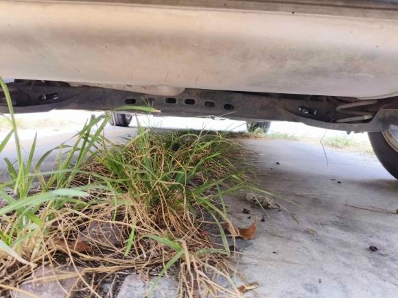 [宁波·浙B] 二手大众高尔夫2014款 1.4TSI 自动舒适型