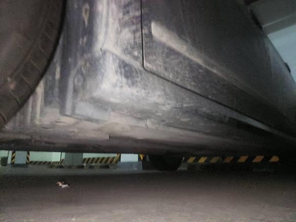 [宁波·浙B] 二手日产轩逸2009款 1.6XL 自动豪华天窗版