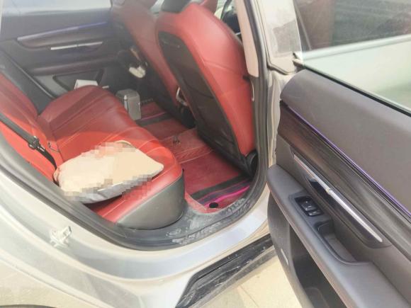 [济南·鲁A] 二手小鹏小鹏P72020款 586N