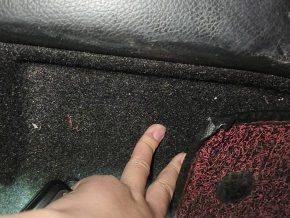 [常州·苏D] 二手日产蓝鸟2019款 1.6L CVT智联智酷版 国VI