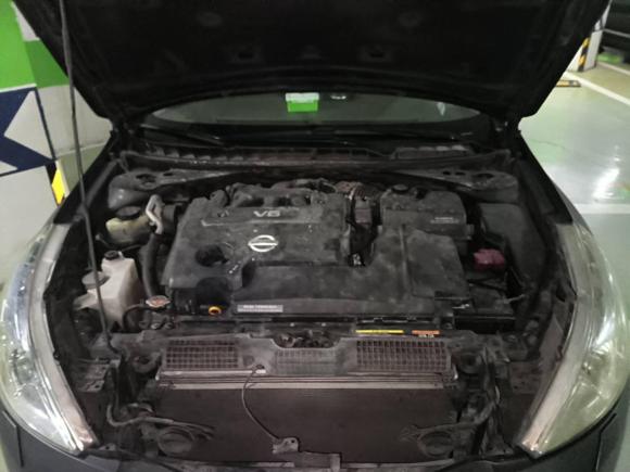 [成都·川A] 二手日产天籁2008款 2.5L XL领先版