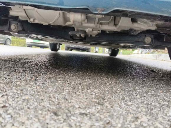 [上海·沪A] 二手欧拉欧拉黑猫2021款 351km 标准型