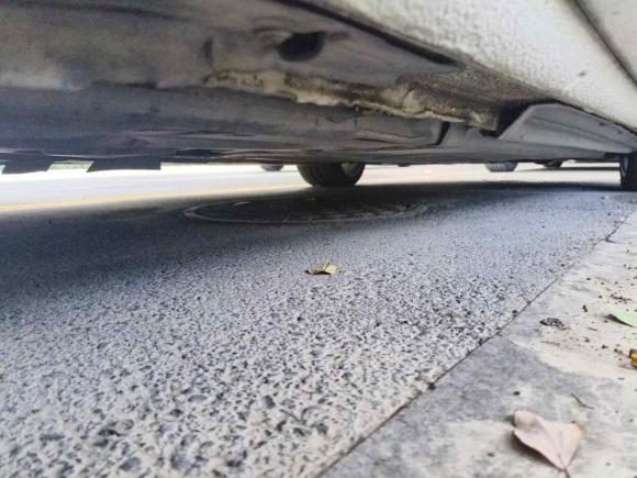 [杭州·浙A] 二手奥迪奥迪A52009款 2.0TFSI coupe