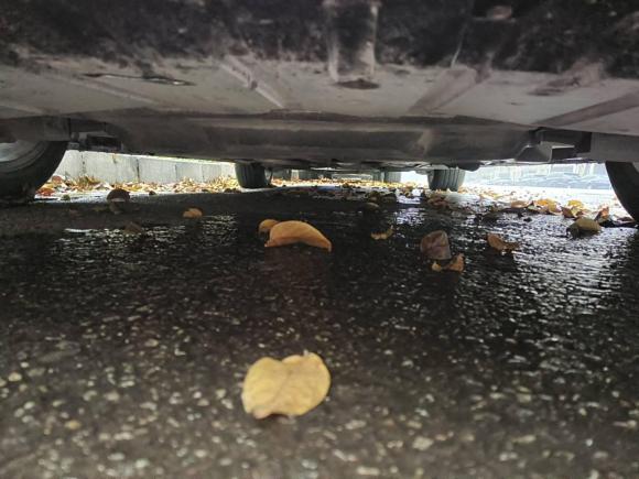 [西安·陕U] 二手捷豹捷豹XFL2018款 XFL 2.0T 250PS 尊享版