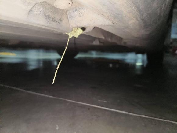 [成都·川A] 二手福特福克斯2018款 两厢经典 EcoBoost 180 自动精英型