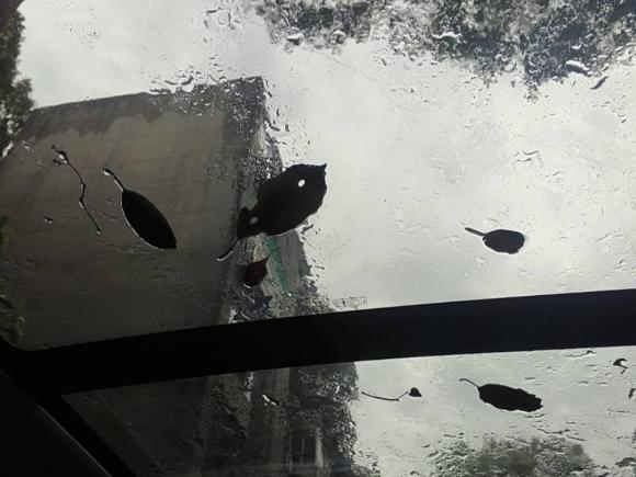 [成都·川A] 二手大众帕萨特新能源2019款 430PHEV 混动豪华版