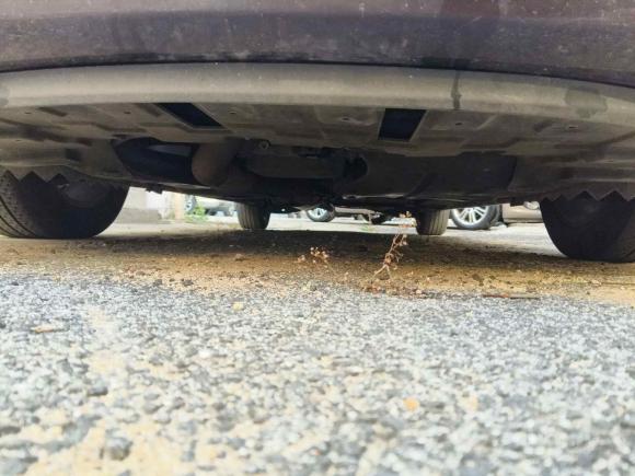 [青岛·鲁B] 二手别克别克GL82017款 ES 28T 豪华型 国V