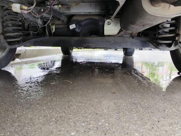 [上海·浙A] 二手福特翼搏2013款 1.5L 自动风尚型