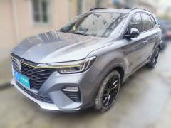 [上海·沪D] 荣威荣威RX52020款 PLUS 300TGI 自动Ali国潮荣麟版