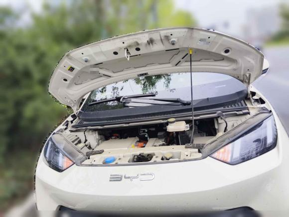 [合肥·皖A] 二手比亚迪海鸥2023款 自由版